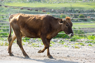 Similar image 22591438