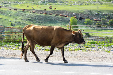 Similar image 22591459