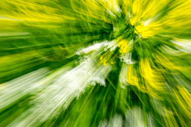 Similar image 22591462