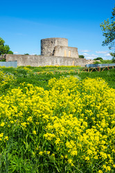 Similar image 22591465