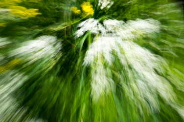 Similar image 22591467