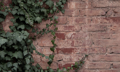 Similar image 22588147