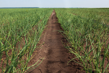 Similar image 22590372