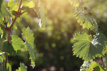 Similar image 22590375