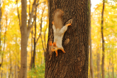 Similar image 22590378