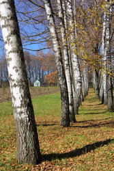 Similar image 22592891