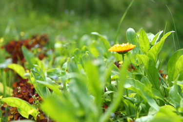 Similar image 22589868