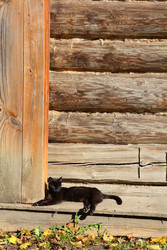 Similar image 22592892