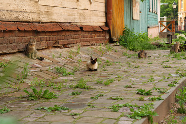 Similar image 22592893