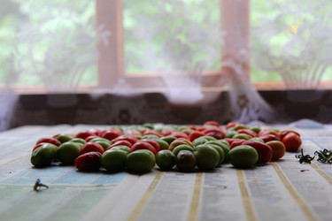 Similar image 22589348