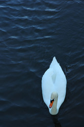 Similar image 22591295