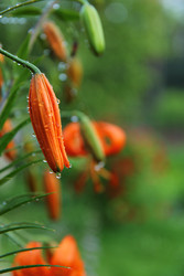 Similar image 22589870