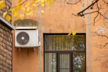 Similar image 22593277