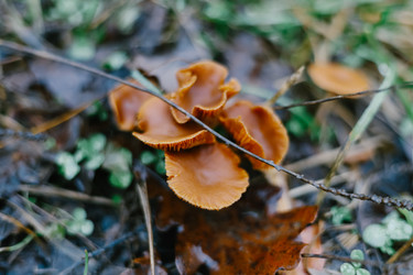 Similar image 22591271