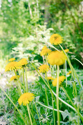 Similar image 22591272