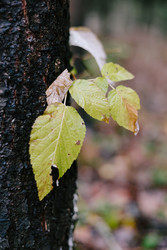 Similar image 22591275