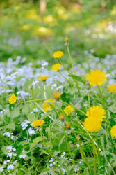 Similar image 22591277