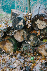 Similar image 22591278