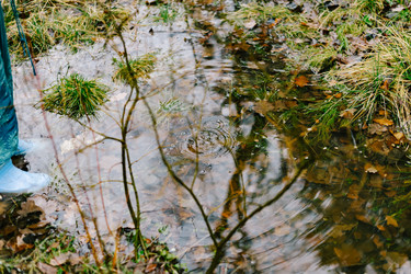 Similar image 22591279