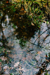 Similar image 22591280