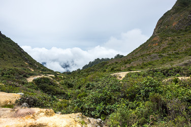 Similar image 22593127