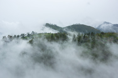 Similar image 22593145