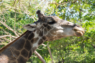 Similar image 22593151