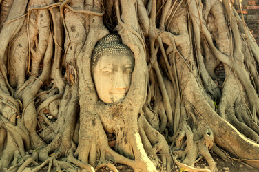 Similar image 22593155