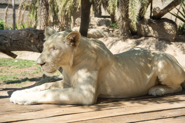 Similar image 22593157