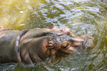 Similar image 22593159