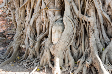 Similar image 22593161