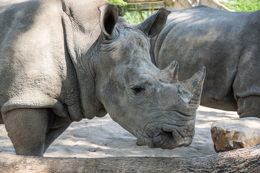 Similar image 22593163