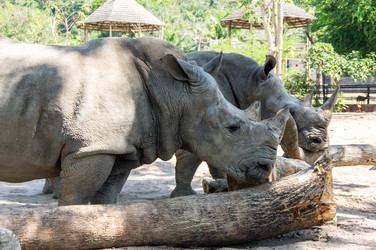 Similar image 22593169