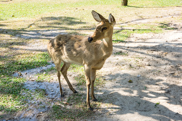 Similar image 22593172