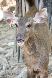 Similar image 22593174