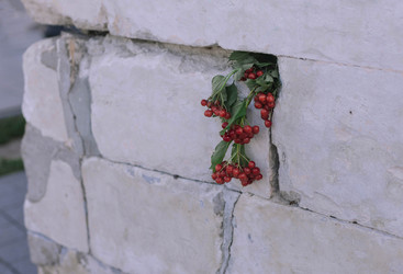 Similar image 22592904
