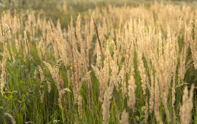 Similar image 22592907