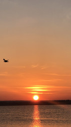 Similar image 22592968