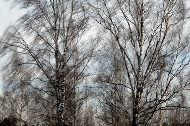 Similar image 22593054