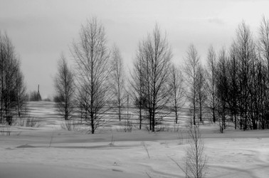 Similar image 22593058