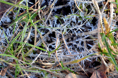 Similar image 22593064