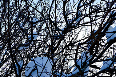 Similar image 22593068