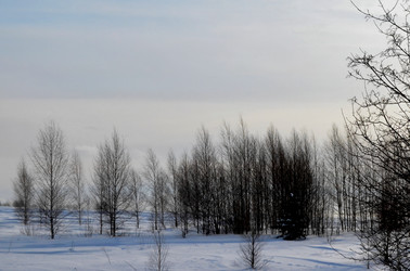 Similar image 22593070