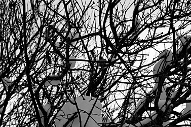 Similar image 22593072