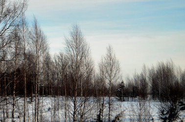 Similar image 22593076