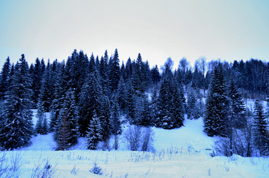 Similar image 22593078