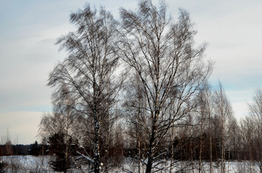 Similar image 22593080