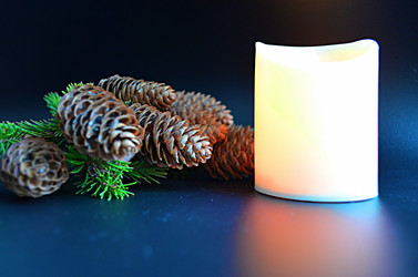 Similar image 22593083