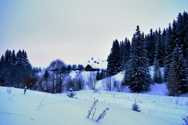 Similar image 22593084