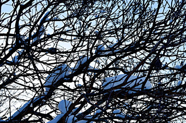 Similar image 22593088